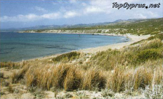 Западный Кипр. Окрестности Пафоса.